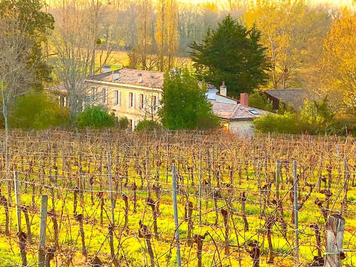 Fabuleux - Domaine Du Moulin D'Andraut Bordeaux-Chevaux-Golf-St Emilion Villa Montussan Bagian luar foto