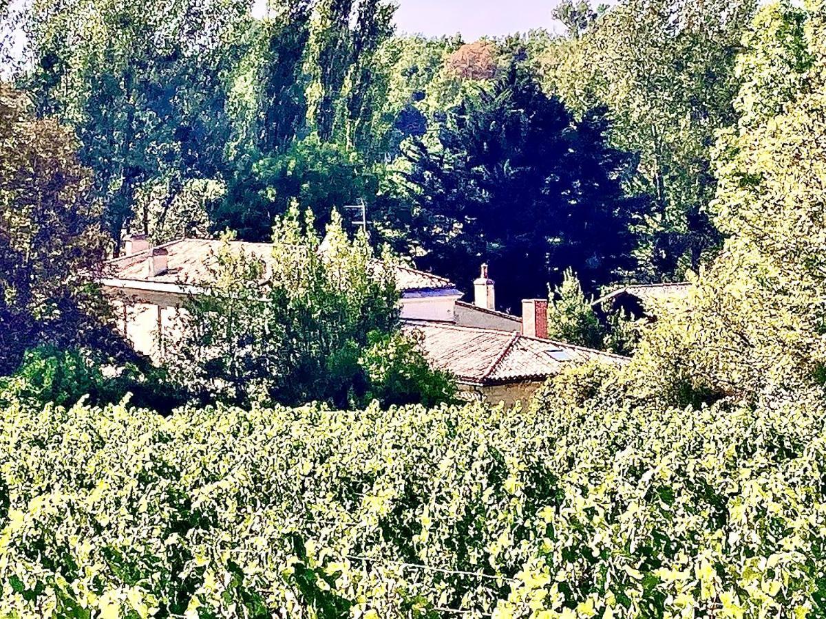 Fabuleux - Domaine Du Moulin D'Andraut Bordeaux-Chevaux-Golf-St Emilion Villa Montussan Bagian luar foto